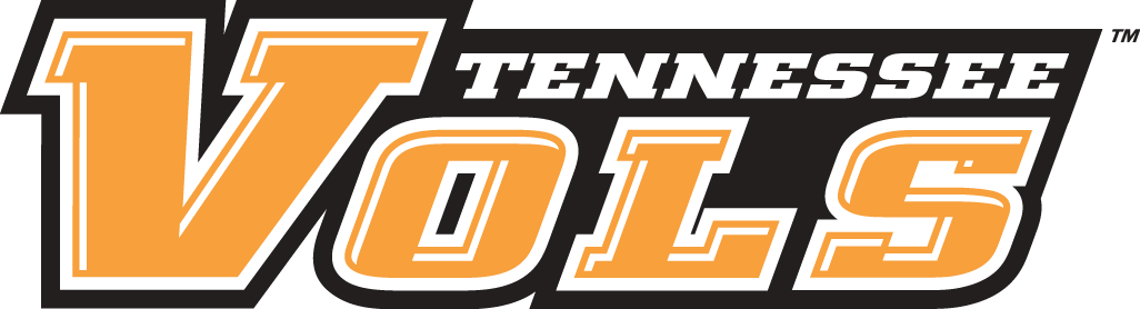 Tennessee Volunteers 2005-Pres Wordmark Logo v2 diy iron on heat transfer